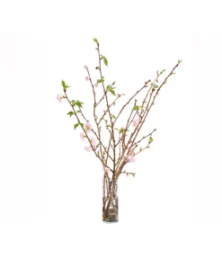 Japanische Kirschzweige, Ca. 80-100 Cm 6 Japanische Kirschzweige, Ca. 80-100 Cm -Pflanzen Promotion Geschäft 8149015 WE FS 002 JapanischeKirscheBundDehnerExpressHerzig