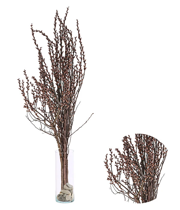 Sumpfkätzchen-Bund, Ca. 80-100 Cm 1 Sumpfkätzchen-Bund, Ca. 80-100 Cm