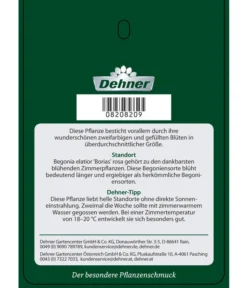Elatior-Begonie - Begonia Elatior 'Borias®' 9 Elatior-Begonie - Begonia Elatior 'Borias®' -Pflanzen Promotion Geschäft 8208209 BegonieBoriasrosa Etikett 2