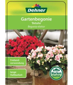 Freiland-Begonie 'Betulia' -Pflanzen Promotion Geschäft 8208845 GartenbegonieBetulia Etikett 01
