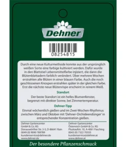 Schmetterlingsorchidee - Phalaenopsis Cultivars 'Blue Wonder', Kaskade -Pflanzen Promotion Geschäft 8254815 PhalaenopsisBlueWonder Etikett 2