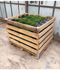 24 Meter Lebensbaum 'Smaragd', 80 X Ca. 60-80 Cm -Pflanzen Promotion Geschäft 8295156 WE FS 003 ThujaPalette5Liter