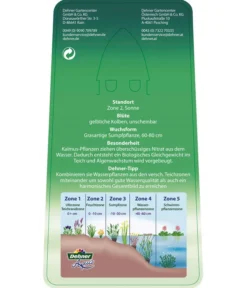 Dehner Kalmus 10 Dehner Kalmus -Pflanzen Promotion Geschäft 8310104 KalmusAcorusCalamus Etikett 2