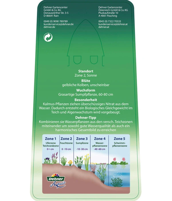 Dehner Kalmus 5 Dehner Kalmus – Bild 5