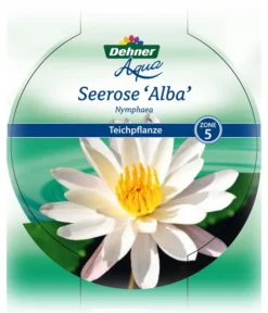 Dehner Seerose -Pflanzen Promotion Geschäft 8315905 Seerose Alba Etikett 1 NEU