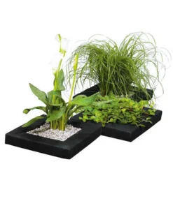 Dehner Treibring Für Wasserpflanzen