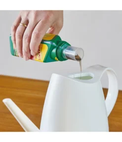 Seramis Vitalnahrung Für Kakteen & Sukkulenten, 200 Ml 5 Seramis Vitalnahrung Für Kakteen & Sukkulenten, 200 Ml -Pflanzen Promotion Geschäft 8475881 WE MO 001 SeramisKakteenSukkulentenDuenger200ml