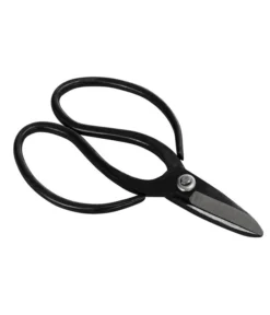 Bonsai Chinesischer Feigenbaum - Ficus Retusa, Anfänger-Set, 10 Jahre -Pflanzen Promotion Geschäft 8561573 WE FS 002 SchereSetBonsai