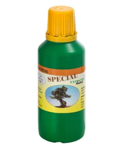 Bonsai Chinesischer Feigenbaum - Ficus Retusa, Anfänger-Set, 10 Jahre -Pflanzen Promotion Geschäft 8561573 WE FS 003 DuengerSetBonsai