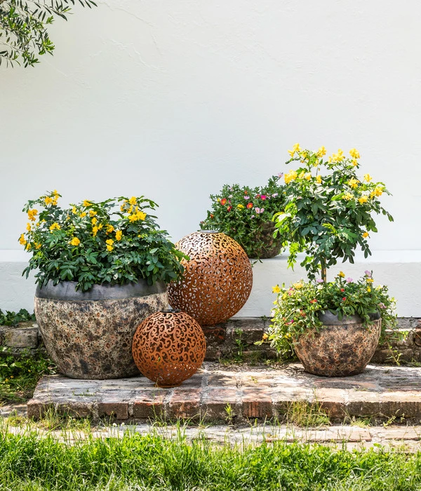 Gewürzrinde, Stämmchen 2 Gewürzrinde, Stämmchen – Bild 2