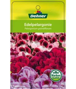 Edelgeranie, Stämmchen -Pflanzen Promotion Geschäft 8585275 Edelpelargonie 04022016 1