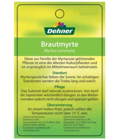 Brautmyrte, Busch -Pflanzen Promotion Geschäft 8590267 BrautmyrtheEtikett2