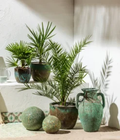 Bestseller -Pflanzen Promotion Geschäft 8608838 8607905 WE MO 001 Palmen