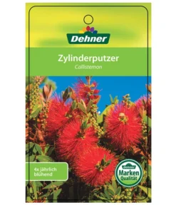 Zylinderputzer, Busch 10 Zylinderputzer, Busch -Pflanzen Promotion Geschäft 8620429 CallistemonEtikett1