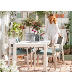 Fuchsie, Verschiedene Sorten -Pflanzen Promotion Geschäft 8649733 WE MO 001 FuchsieStaemmchen