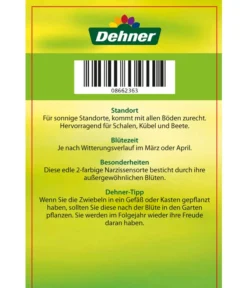 Narzisse 'Jetfire', Schale -Pflanzen Promotion Geschäft 8662363 Narcissus Jetfire Schale 2016 2