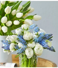 Traubenhyazinthe, Blau -Pflanzen Promotion Geschäft 8662702 PR MO 038 Schnittblumen