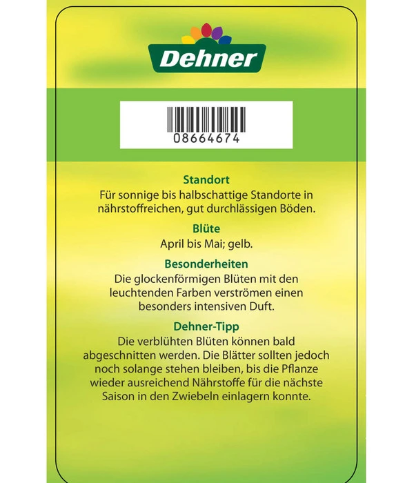 Kaiserkrone 5 Kaiserkrone – Bild 5