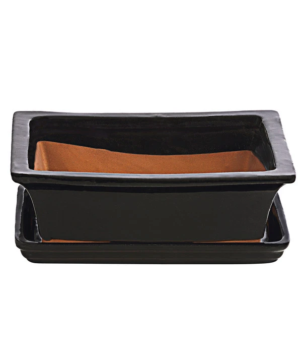 Dehner Keramik-Bonsaischale, Rechteckig, Schwarz, Ca. B25/H12 Cm 1 Dehner Keramik-Bonsaischale, Rechteckig, Schwarz, Ca. B25/H12 Cm