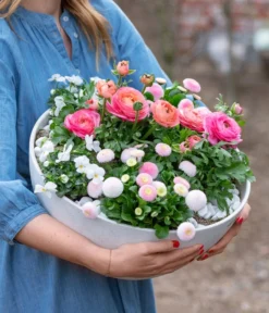 Beet- & Balkonpflanzen-Set Traum In Rosa, 6-teilig 16 Beet- & Balkonpflanzen-Set Traum In Rosa, 6-teilig -Pflanzen Promotion Geschäft 8800039 WE MO 001 BeetBalkonSetTrauminRosa