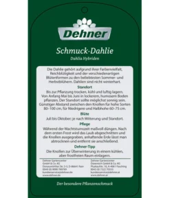 Dehner Premium Dahlie -Pflanzen Promotion Geschäft 8822462 Schmuck Dahlie Etikett 2