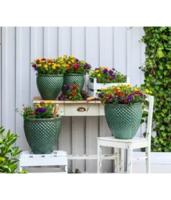 Pflanzenmix Trio Mio 6 Pflanzenmix Trio Mio -Pflanzen Promotion Geschäft 8827016 WE MO 001 SommermixSommertrioTrioMioVerbenenBidens