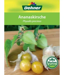 Dehner Ananaskirsche Physalis 12 Dehner Ananaskirsche Physalis -Pflanzen Promotion Geschäft 8830069 Ananaskirsche Etikett 1