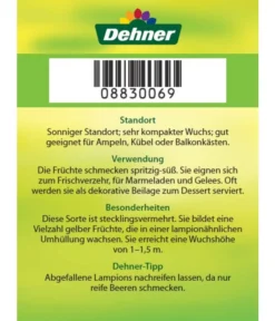 Dehner Ananaskirsche Physalis 13 Dehner Ananaskirsche Physalis -Pflanzen Promotion Geschäft 8830069 Ananaskirsche Etikett 2