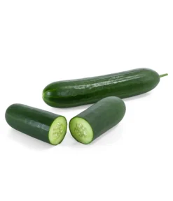 Mini Schlangengurke -Pflanzen Promotion Geschäft 8830747 WE FS 003 Minischlangengurke