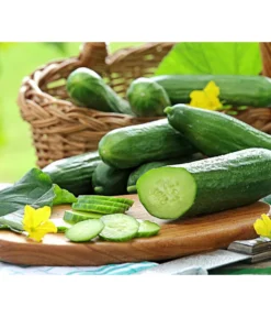 Bestseller 19 Mini Schlangengurke