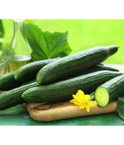 Bestseller 13 Schlangengurke