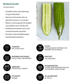 Bioland Gurke, Veredelt -Pflanzen Promotion Geschäft 8830853 WE IG 001 BiolandGurke
