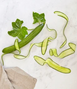 Bioland Gurke, Veredelt -Pflanzen Promotion Geschäft 8830853 WE MO 001 SchlangengurkeveredeltRenner