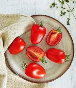 Bioland Eiertomate -Pflanzen Promotion Geschäft 8831463 WE MO 001 BiolandEiertomate