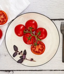 Bioland Buschtomate -Pflanzen Promotion Geschäft 8831968 WE MO 001 BiolandBuschtomate