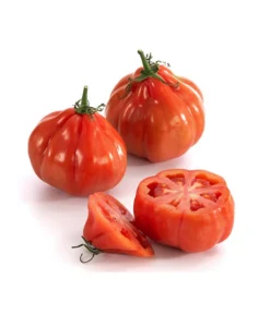 Ochsenherztomate 'Fleurette' 7 Ochsenherztomate 'Fleurette' -Pflanzen Promotion Geschäft 8832883 WE DE 001 Ochsenherztomate