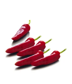 Spitzpaprika, Rot -Pflanzen Promotion Geschäft 8833485 WE FS 001 SpitzpaprikaRot