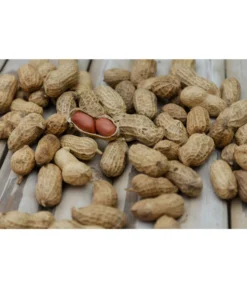 Bioland Erdnuss