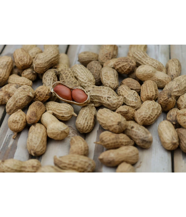 Bioland Erdnuss 1 Bioland Erdnuss