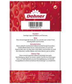 Erdbeere 'Delizz' 7 Erdbeere 'Delizz' -Pflanzen Promotion Geschäft 8840274 ErdbeereDelizzImmertragend Etikett 2