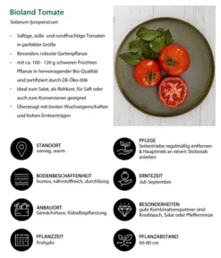 Bioland Tomate, Rundfruchtig -Pflanzen Promotion Geschäft 8842619 WE IG 001 BiolandTomate