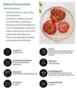 Bioland Fleischtomate -Pflanzen Promotion Geschäft 8842627 WE IG 001 BiolandFleischtomate