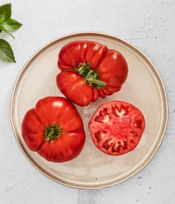 Bioland Fleischtomate -Pflanzen Promotion Geschäft 8842627 WE MO 001 BiolandFleischtomate