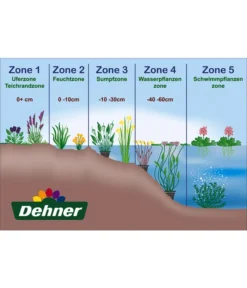 Dehner Seerose -Pflanzen Promotion Geschäft WE DE 001 Teichzonen Wasserpflanzen Schild 9