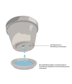 Esschert Design Französische Pflanzvase Aus Gusseisen, Dunkelbraun -Pflanzen Promotion Geschäft WE IG 001 TopfMitBodenloch 5